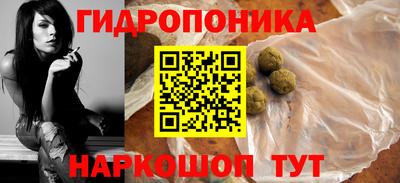 крисы Гатчина