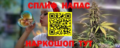 крисы Гатчина