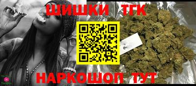 крисы Гатчина