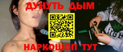 крисы Гатчина