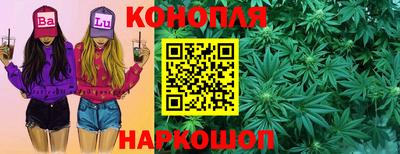крисы Гатчина