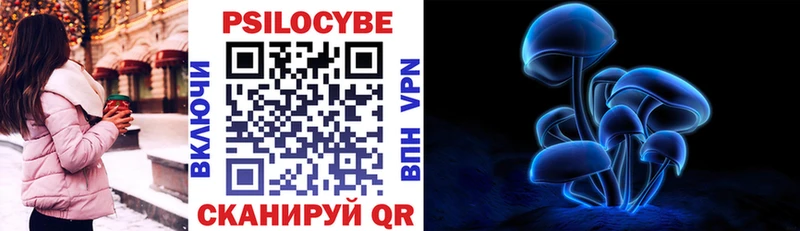 что такое   Амурск  Галлюциногенные грибы Psilocybe 