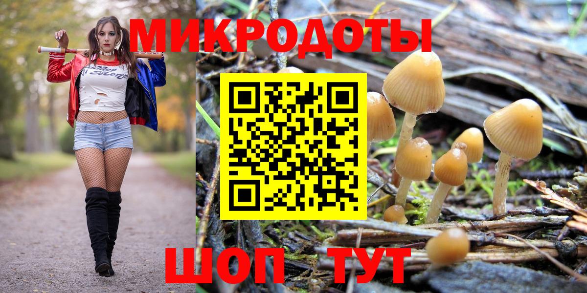 Псилоцибиновые грибы Psilocybine cubensis  Вход с VPN  Амурск 