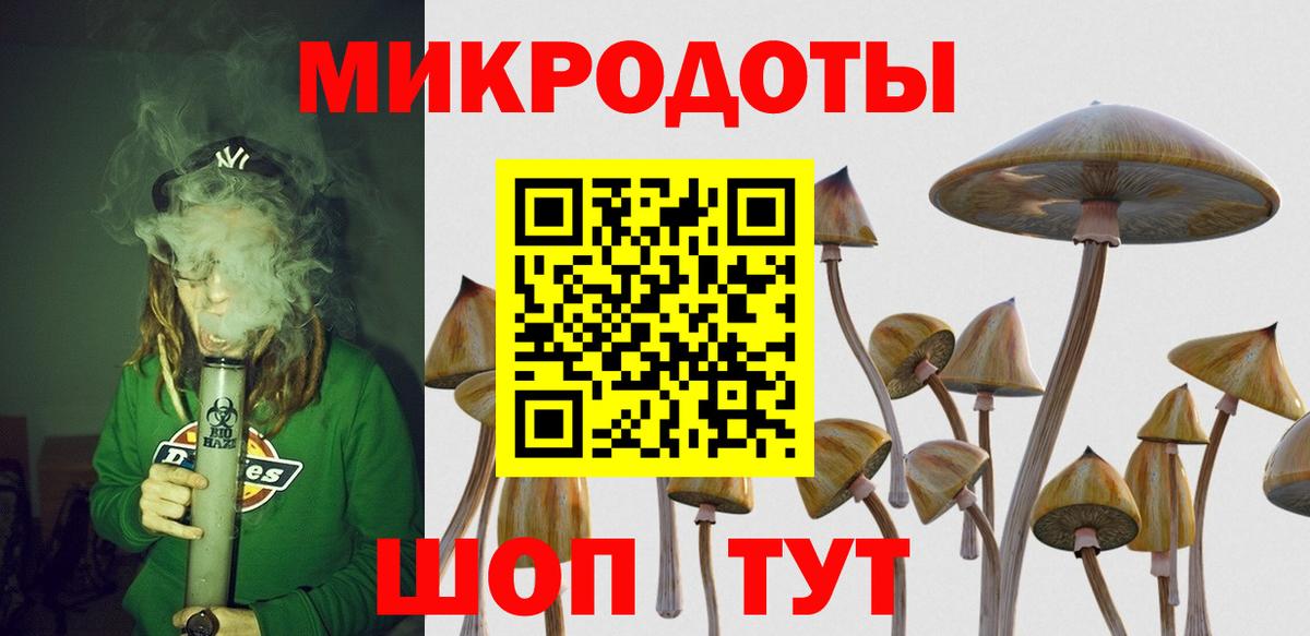 Галлюциногенные грибы Cubensis Амурск