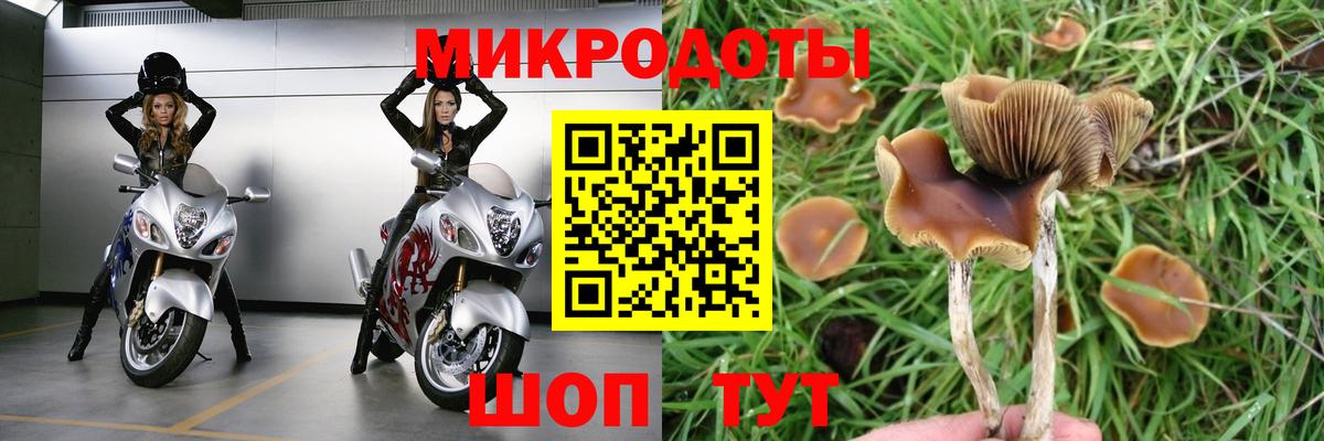 Псилоцибиновые грибы MAGIC MUSHROOMS  Псилоцибиновые грибы Psilocybe  Амурск  Вход с VPN 