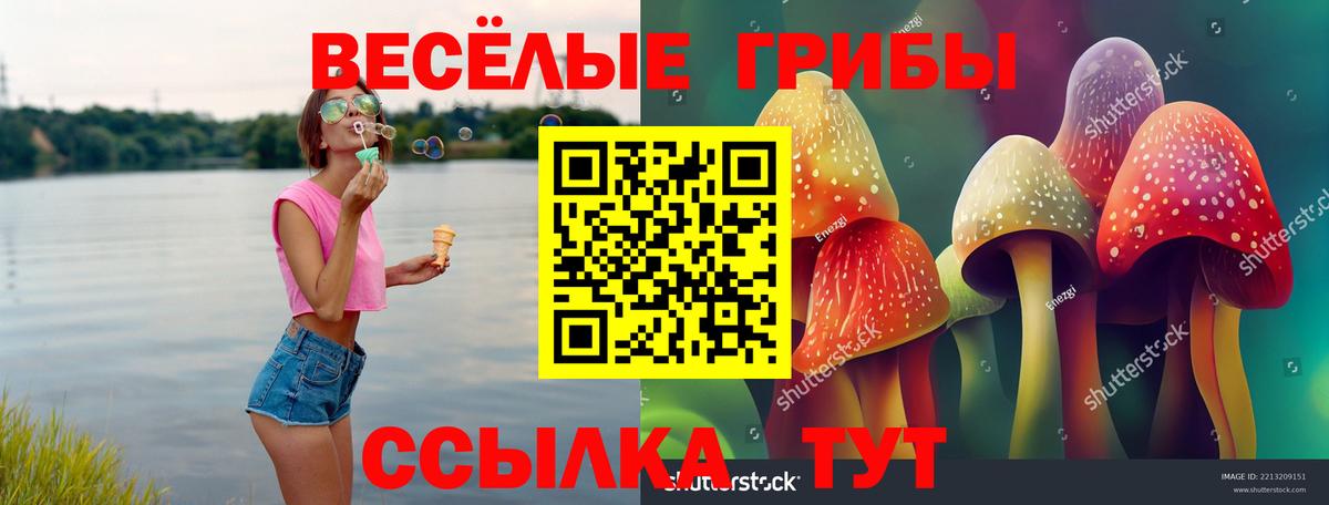 Псилоцибиновые грибы Psilocybine cubensis Амурск